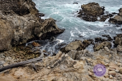Monterey-bay-water